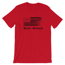 Load image into Gallery viewer, Unisex Short Sleeve Crew Neck T-Shirt | Red | Contemporary Fit | Distress USA Flag | Sizes: S - 4XL